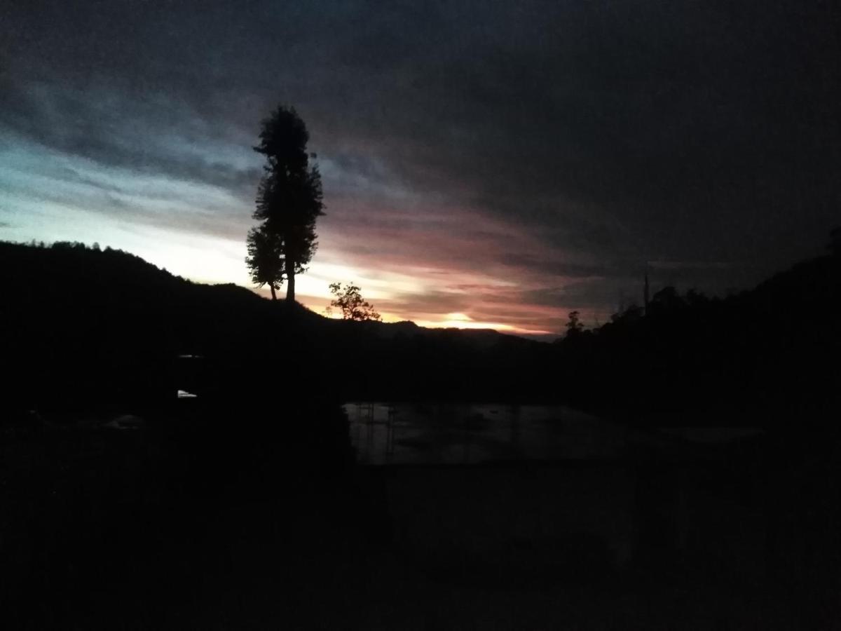 Forest Cyniciam Homestay Ohiya Exterior photo
