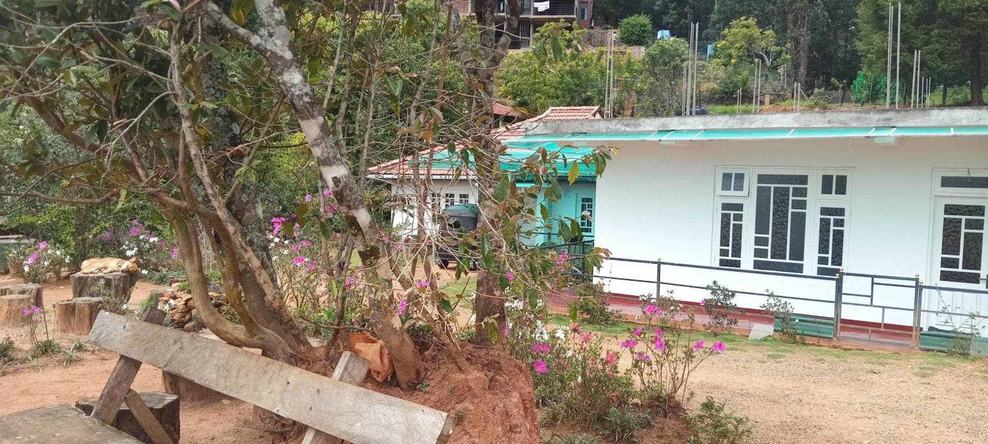 Forest Cyniciam Homestay Ohiya Exterior photo