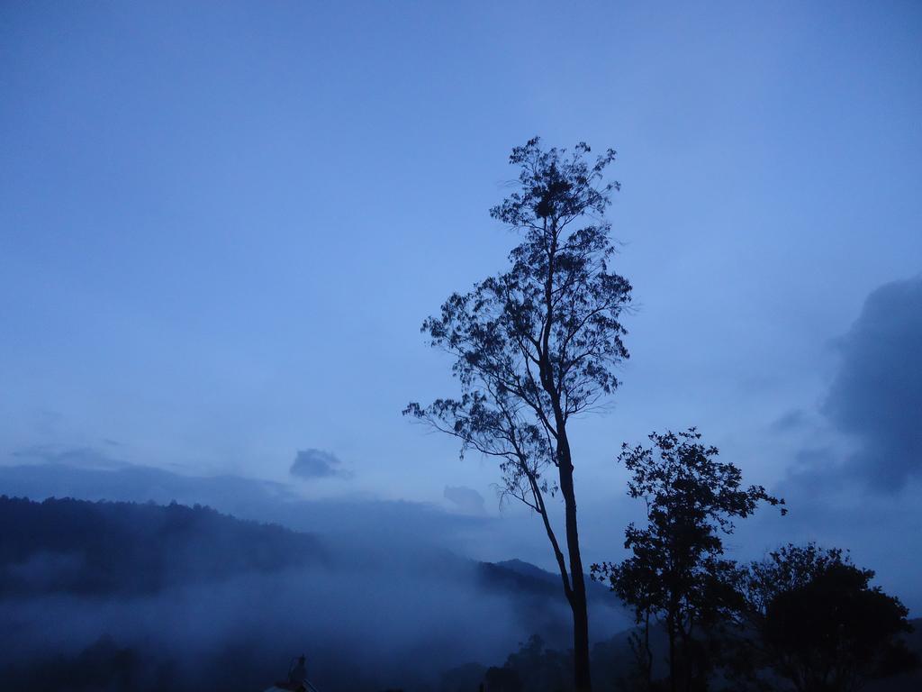 Forest Cyniciam Homestay Ohiya Exterior photo