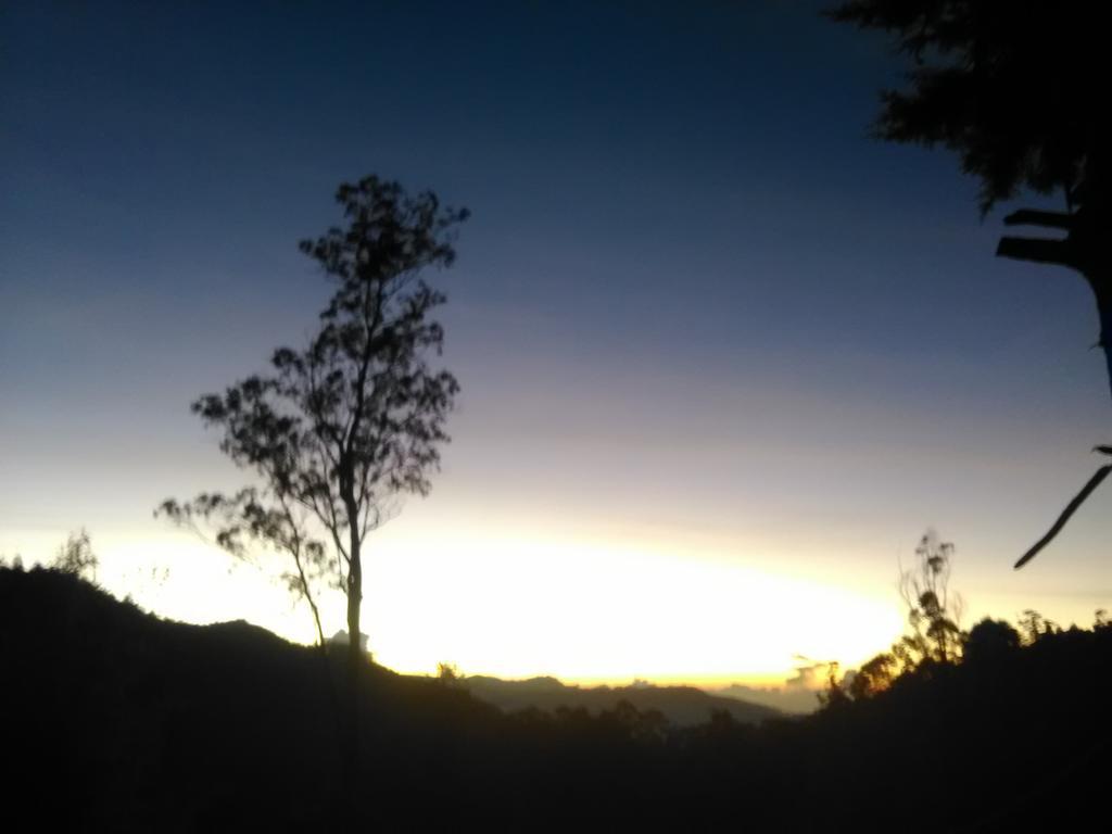 Forest Cyniciam Homestay Ohiya Exterior photo