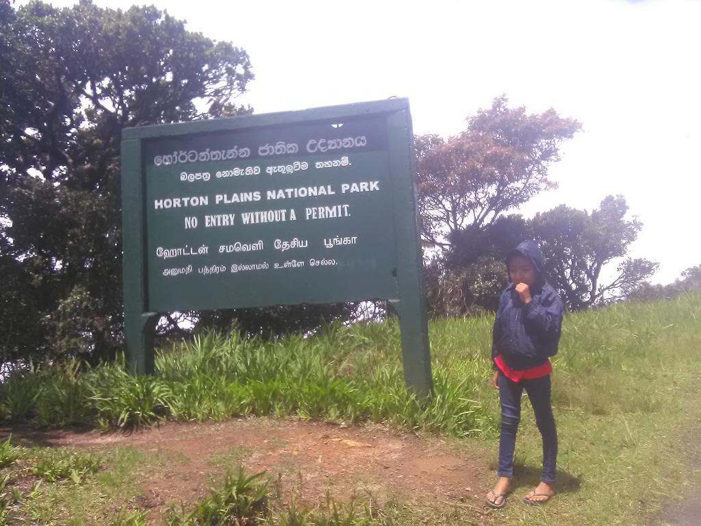 Forest Cyniciam Homestay Ohiya Exterior photo