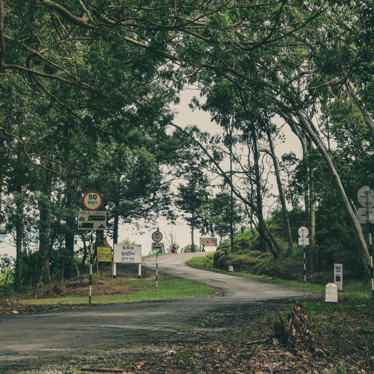Forest Cyniciam Homestay Ohiya Exterior photo