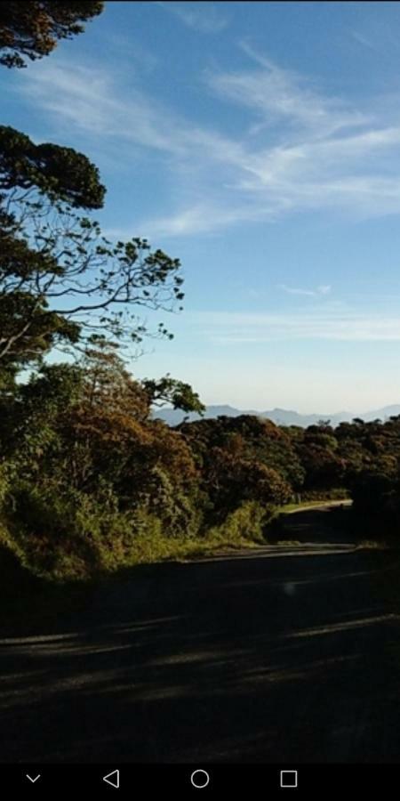 Forest Cyniciam Homestay Ohiya Exterior photo