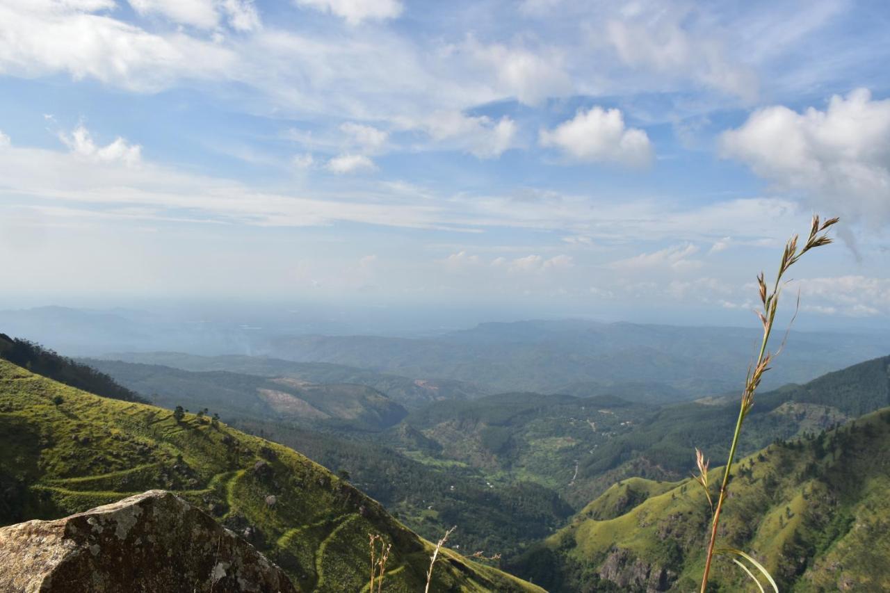 Forest Cyniciam Homestay Ohiya Exterior photo